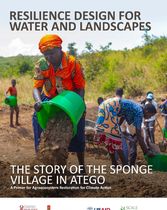 Resilience Design for Water and Landscapes